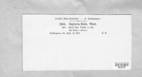 Mycosphaerella rubi image